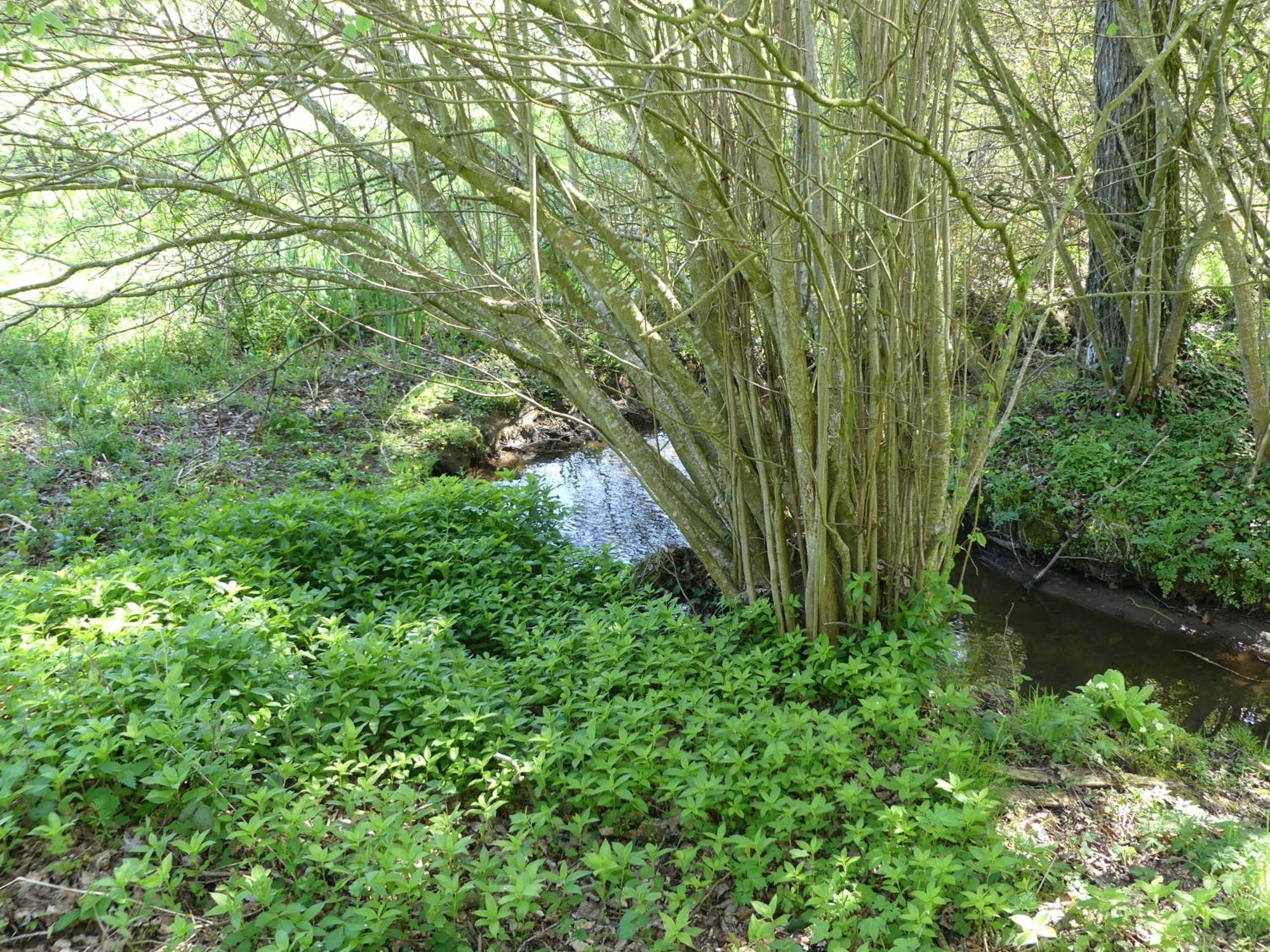 Les Tregorines-Squibernevez Villa Pedernec Luaran gambar